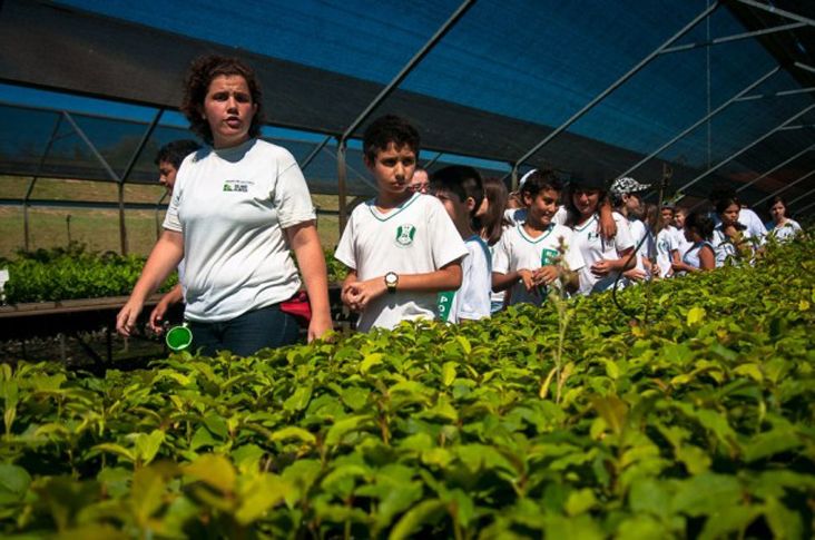 Fundação SOS Mata Atlântica abre processo seletivo para estágio em Itu