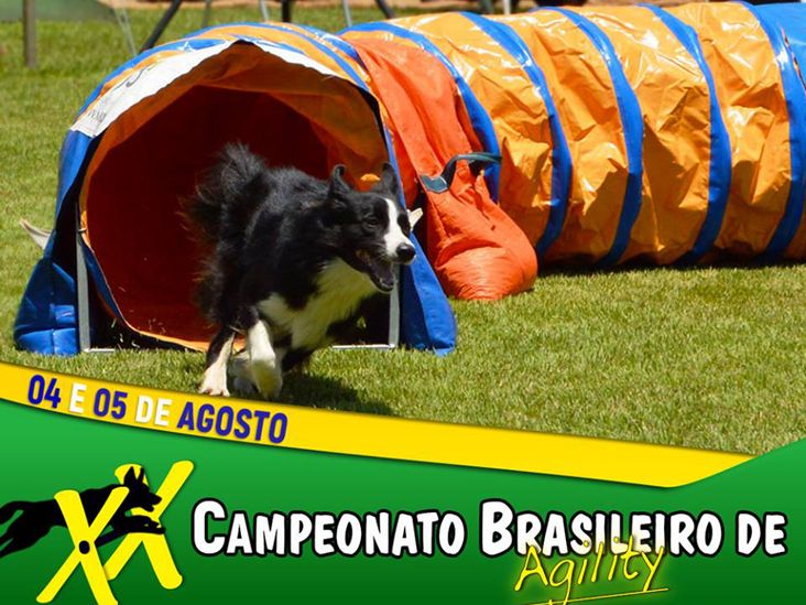 Clube de Cãompo sedia abertura do XX Campeonato Brasileiro de Agility