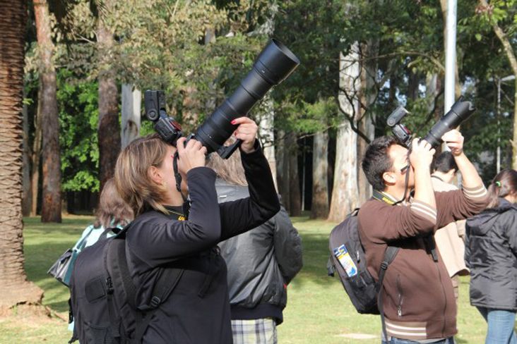 Sociedade pode observar aves em área de Mata Atlântica em Itu