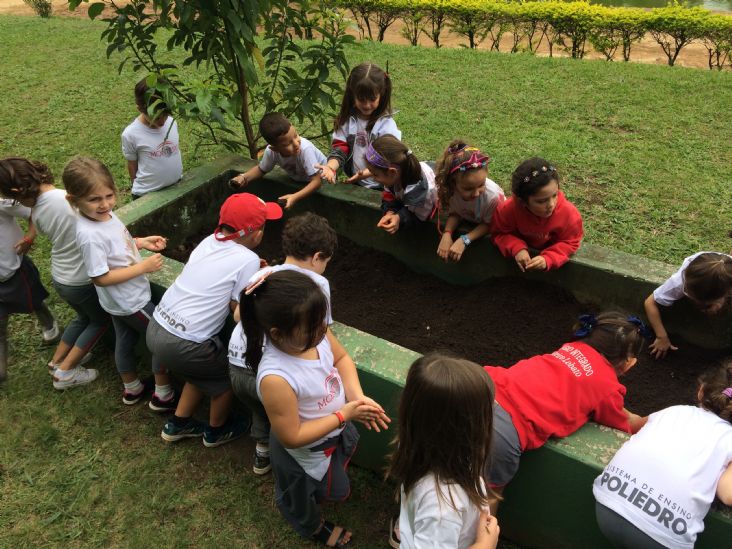 Colégio Monteiro Lobato realiza saída pedagógica sobre meio ambiente
