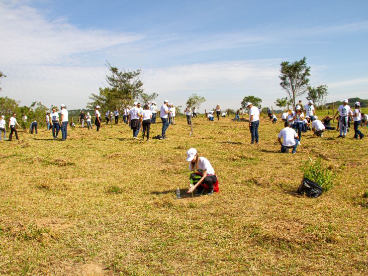 Prefeitura e parceiros realizam plantio de mudas na Bacia do Itaim