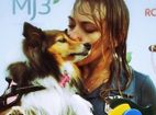 Descontração e habilidade marcam final do Brasileiro de Agility 2013