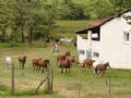 Imagem de 