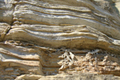 Parque Geológico do Varvito Logotipo de Parque Geológico do Varvito