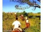Imagem de: Chácara do Rosário sorteia cavalgada