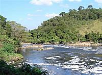 22 de setembro - Dia do Rio Tietê