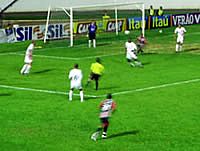 É Galo na cabeça!