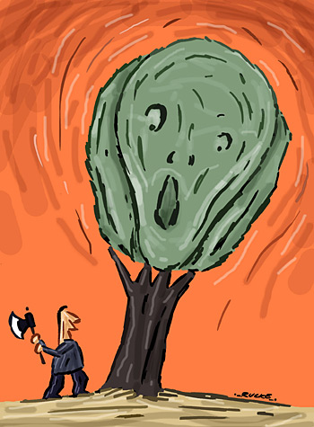 O Grito da Floresta