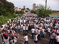 Itu plantou cerca de 30.550 mudas em 60 minutos