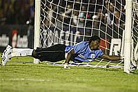Surpreendeu e levou: Rumo a Libertadores 2009!