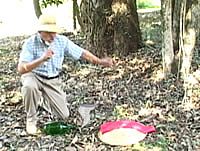 Saci-Pererê aparece na Chácara do Rosário