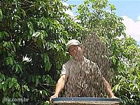 Fazenda do café em Itu está aberta para visita