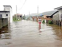 Enchentes em Santa Catarina: saiba como ajudar