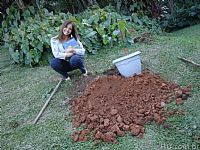 Little Prince Baobab planted in the city of Itu