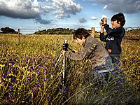 Flickr, o encontro das imagens