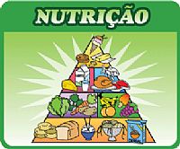 Grupos de Alimentos: quais são?