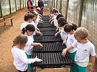 Escola Vagalume visita Fazenda Terra dos Gigantes