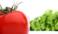 Alimentação vegetariana, é preciso adequação!