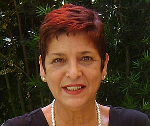 Katia Auvray: "Itu, da Colônia à Modernidade: onde está Diniz?"
