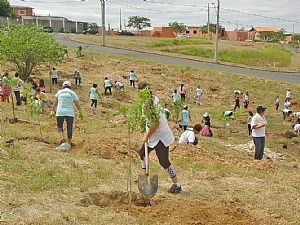 400 mudas de árvores foram plantadas no Bom Viver