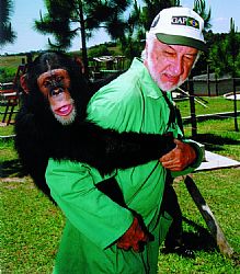 Pedro A Ynterian: Chimpanzés escravos: "Amor ao dinheiro?"