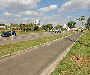 Pista de caminhada recebe 176 mudas de árvores nativas