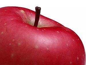 A história da maçã
