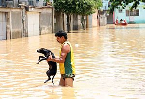 ÁGUA: apocalipse contemporâneo avassalador!