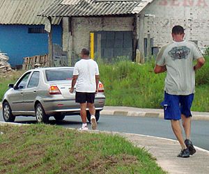 Caminhadas em Porto Feliz: em busca de um lugar ao sol