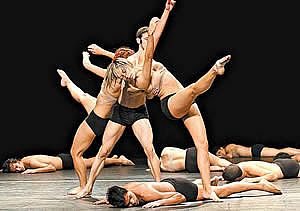 Cisne Negro Cia de Dança