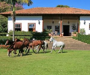 Aproveite a cavalgada noturna na Fazenda Capoava