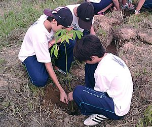 Atividades verdes marcam a Semana das Águas em Porto Feliz 