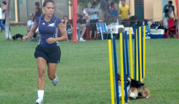 Final do Campeonato Brasileiro de Agility reúne amantes do esporte 