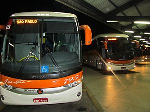 Viação Vale do Tietê adquire 10 novos ônibus