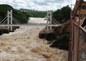 Obras do Parque Natural Ilha da Usina devem começar nos próximos dias 