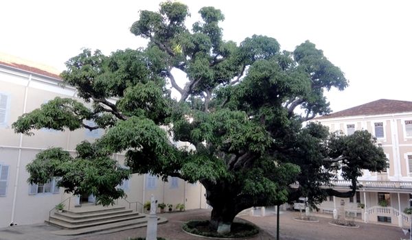 Conheça o Centro de Educação Madre Teodora em Itu