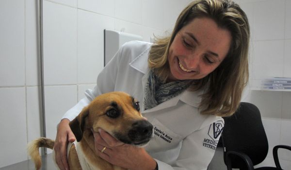 Dia do Médico Veterinário: vidas dedicadas aos animais