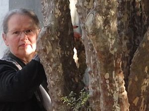 Porto recebe ambientalista do Canadá em comemoração ao Dia da Árvore  