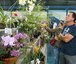 42ª Exposição Nacional de Orquídeas é realizada em Salto