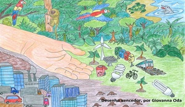 SOS Mata Atlântica anuncia os vencedores do Concurso de Desenho