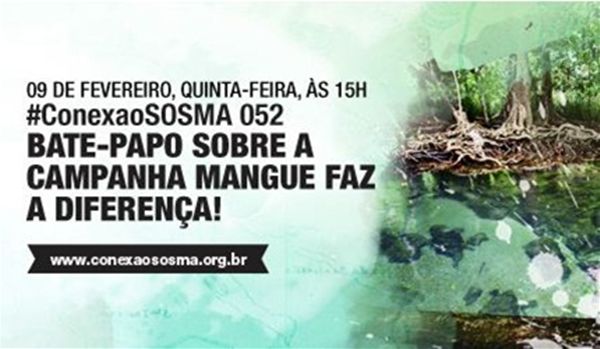Novo Código Florestal ameaça manguezais 