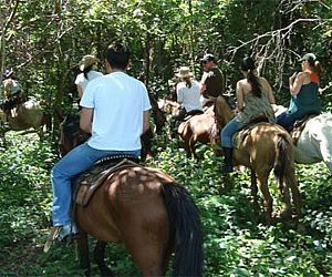 Chácara do Rosário promove cavalgadas no Carnaval