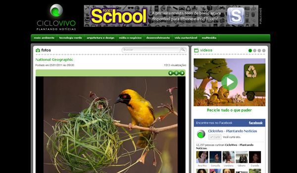 Web do Bem: CicloVivo plantando notícias