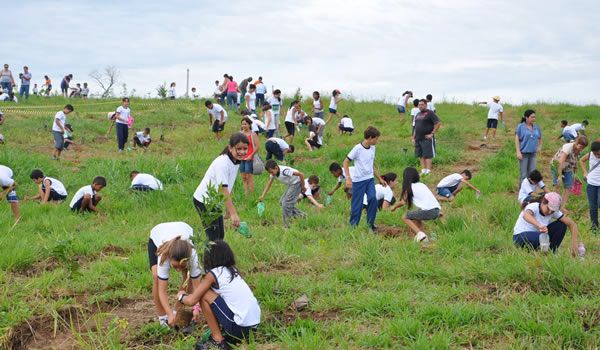 Mais de 10 mil árvores são plantadas em Itu em um dia
