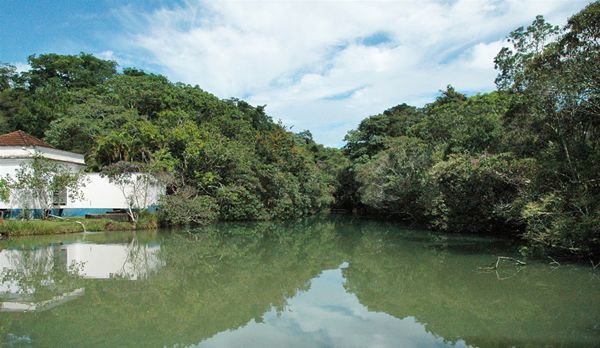 Dia Mundial da Água será comemorado com estudo na Represa do Cupini 