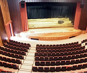 I Festival Curta-Teatro será promovido em Salto	