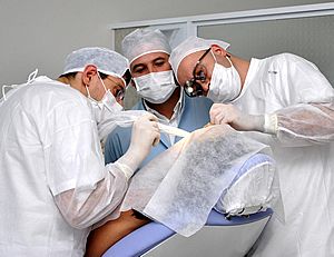 Cirurgiões dentistas europeus vêm a Itu aprimorar suas técnicas