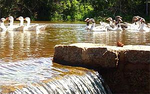 Fazenda Cana Verde oferece descanso e conforto no feriado do Trabalho