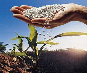 Fertilizantes podem fortalecer mudança climática, diz estudo