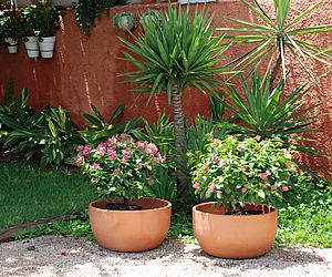 MC Paisagismo realiza café da tarde para compras do Dia das Mães